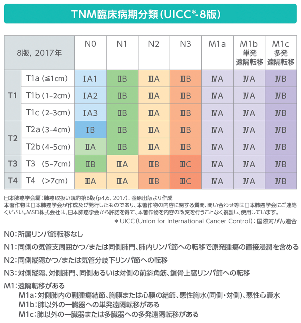 TNM臨床病期分類（UICC-8版）