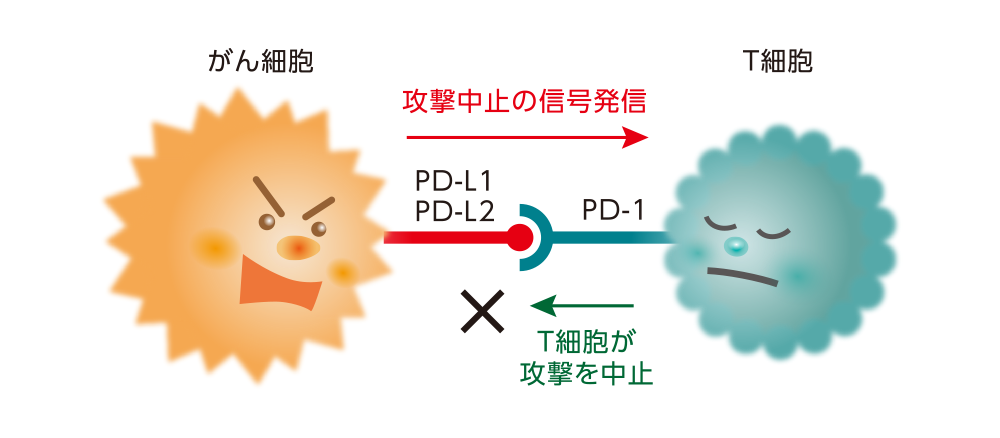 がん細胞が免疫機能にブレーキをかける仕組みのイメージ